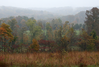 PageLines- Eastern-Wild-Turkey-Habitat.png