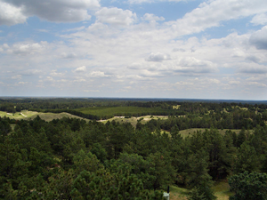 Merriam's-Wild-Turkey-Habitat