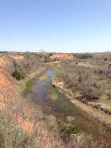 PageLines- Rio-Grande-Wild-Turkey-Habitat.jpg