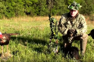 bowhunting turkeys without a blind
