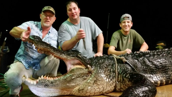 record breaking alligator for Lake Eufala in Alabama