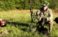 bowhunting turkeys without a blind